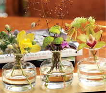 Load image into Gallery viewer, Glass Bud Vases