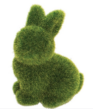 Load image into Gallery viewer, Miniture Moss Bunny
